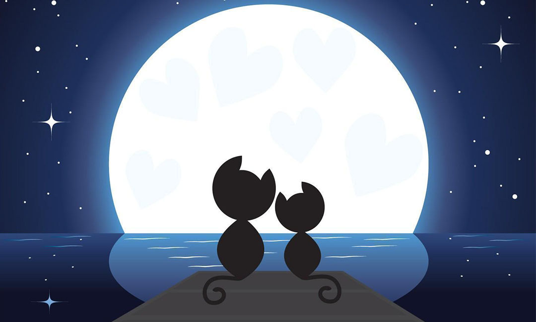 黔西南潮客汇微信活动策划案例